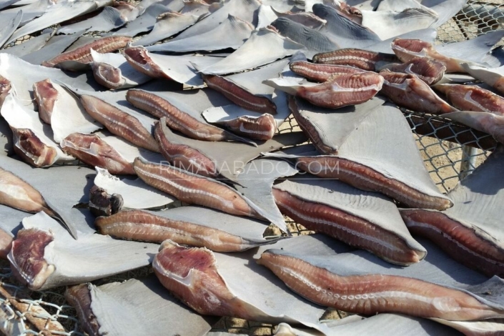20141022-094001_2