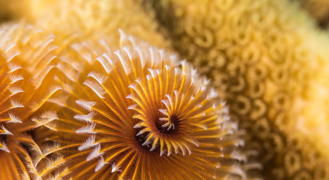 AdobeStock_286866251