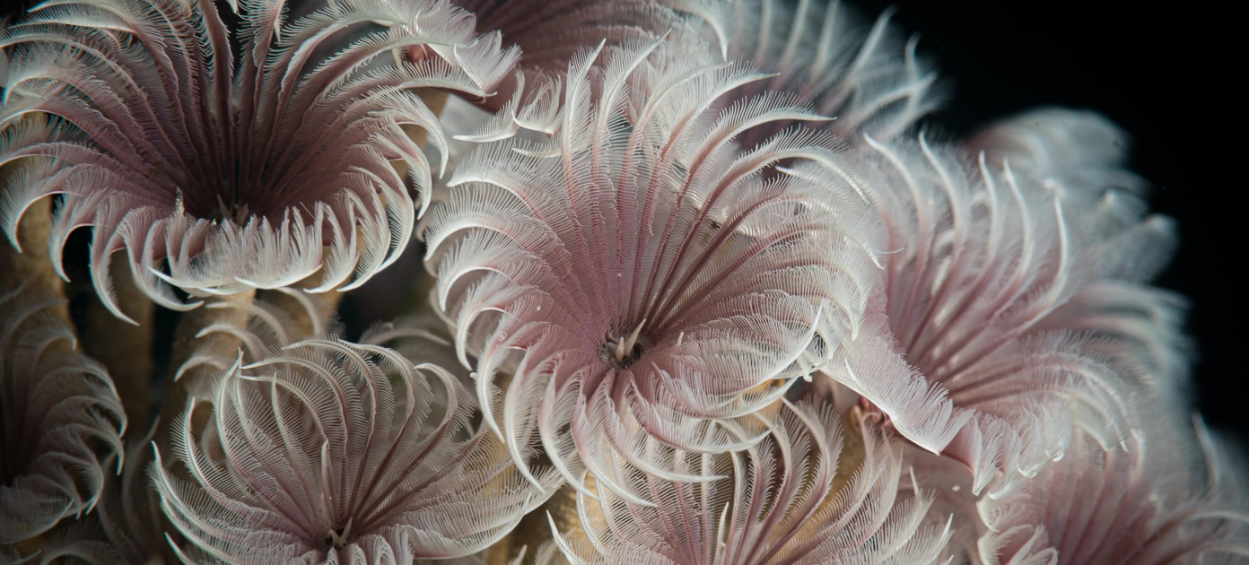 AdobeStock_393654658