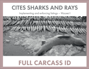 CITES - 2022 - CITESSharkFullCarcassIDGuide-compressed_EN_COVER
