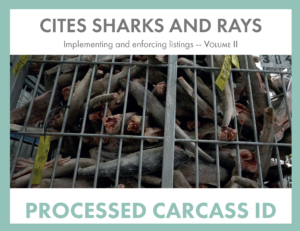 CITES - 2022 - CITESSharkProcessedCarcassIDGuide_EN_COVER