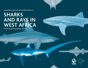 CMS - 2022 - Sharks and Rays in West Africa_EN