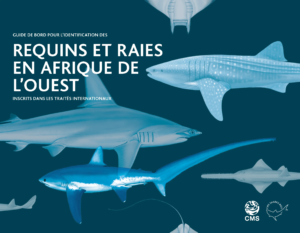 CMS - 2022 - Sharks and Rays in West Africa_FR_COVER