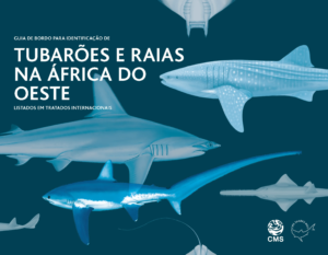 CMS - 2022 - Sharks and Rays in West Africa_PR_COVER