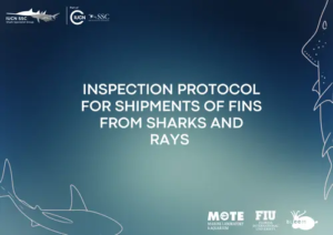 Chapman et al. 2026_Inspection protocol for shipments of fins from sharks and rays
