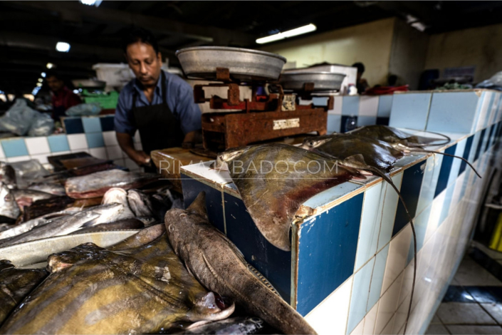 dsc09170_orig