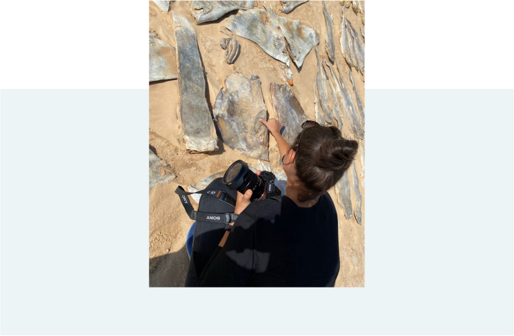 field-surveys_orig